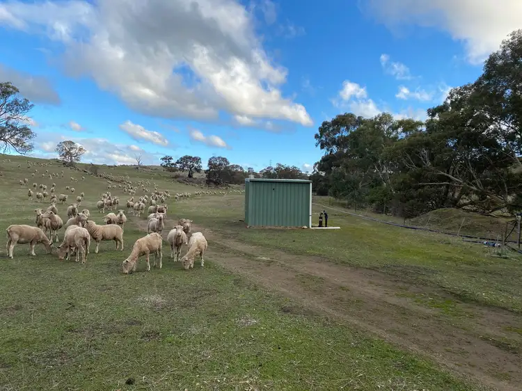 LOT 15 Humbles Road, Springton SA 5235