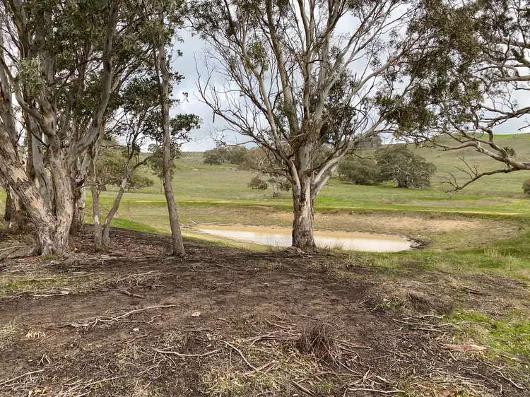 Sixth view of Homely land listing, 652 Cookes Hill Road, Springton SA 5235