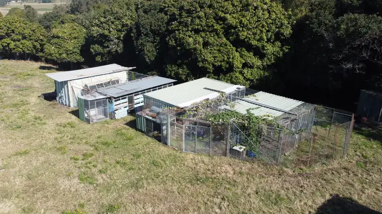 Fifth view of Homely rural property listing, 1184 Bruxner Highway, Mckees Hill NSW 2480
