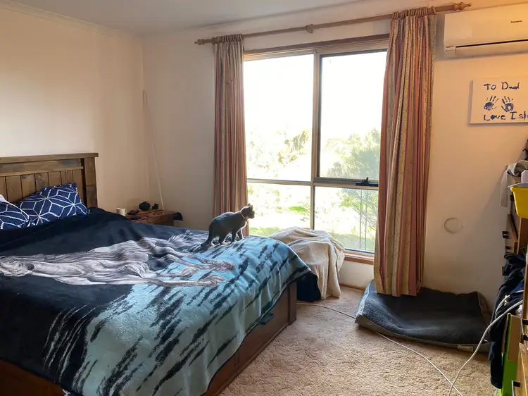 Second view of Homely rural property listing, 343 Sanderston Road, Sanderston SA 5237