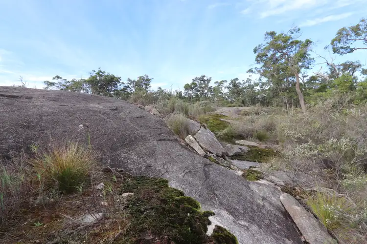 Seventh view of Homely rural property listing, 156 Tindale rd, Denmark WA 6333