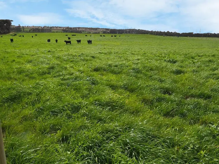 Sixth view of Homely rural property listing, Lot 2, 260 Nadenbouschs Road, Hazelwood VIC 3840