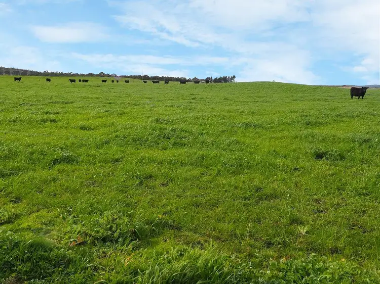 Seventh view of Homely rural property listing, Lot 2, 260 Nadenbouschs Road, Hazelwood VIC 3840