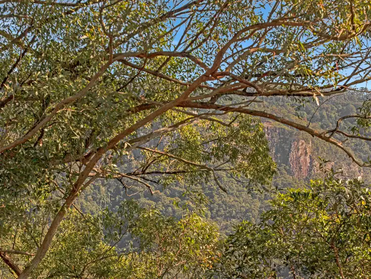 Fourth view of Homely house listing, 274-280 Guanaba Road, Tamborine Mountain QLD 4272