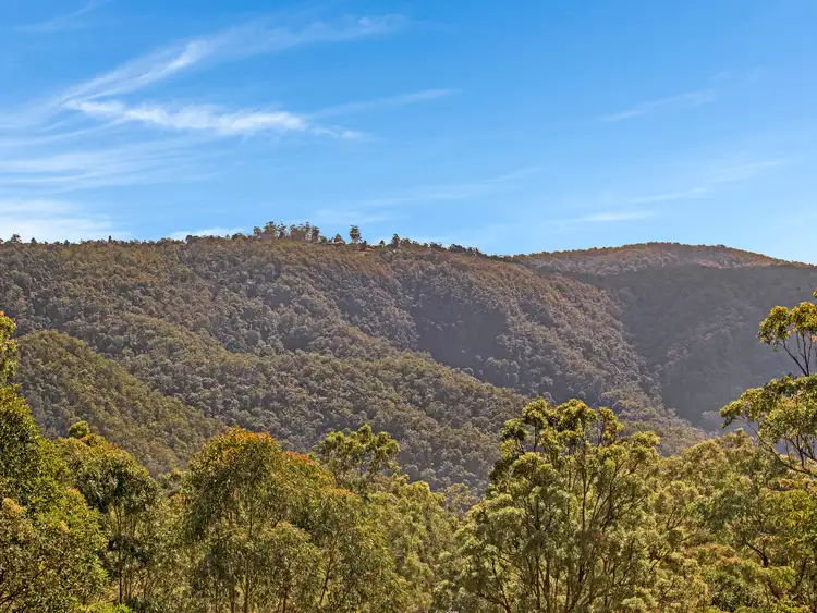 Fifth view of Homely house listing, 274-280 Guanaba Road, Tamborine Mountain QLD 4272