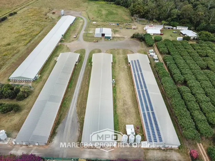 1004 Bilwon Road, Biboohra QLD 4880