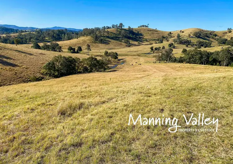 Main view of Homely land listing, 682 Bunyah Road, Bunyah NSW 2429