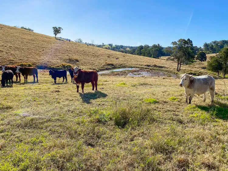 Second view of Homely land listing, 682 Bunyah Road, Bunyah NSW 2429