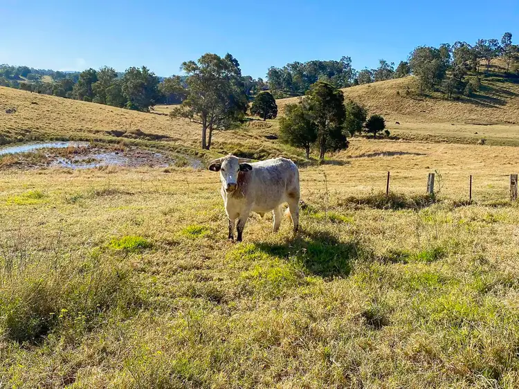 Fourth view of Homely land listing, 682 Bunyah Road, Bunyah NSW 2429
