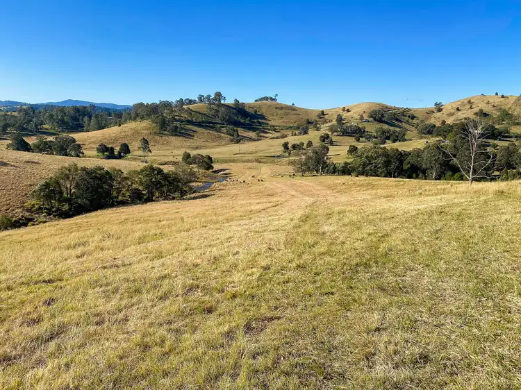 Seventh view of Homely land listing, 682 Bunyah Road, Bunyah NSW 2429