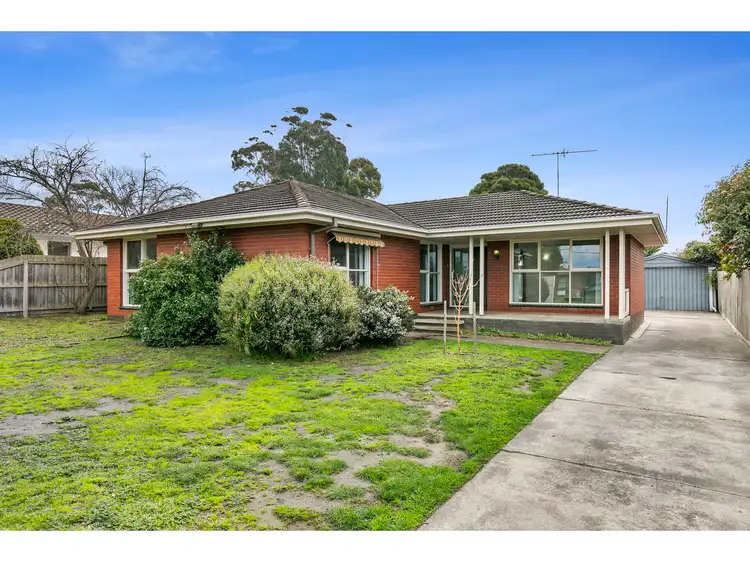 Main view of Homely house listing, 16 Gwyther Road, Highton VIC 3216