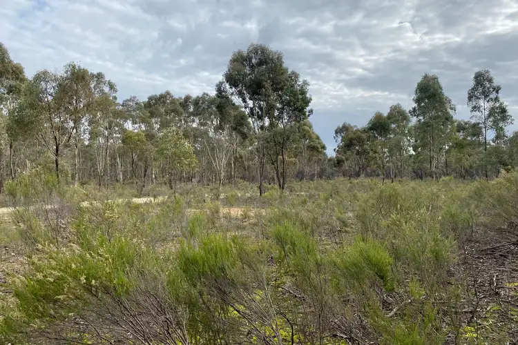 Seventh view of Homely land listing, 1139 Landrigan Road, Daisy Hill VIC 3465