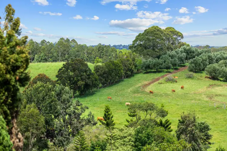 Fourth view of Homely rural property listing, 76 Kureelpa Falls Road, Kureelpa QLD 4560