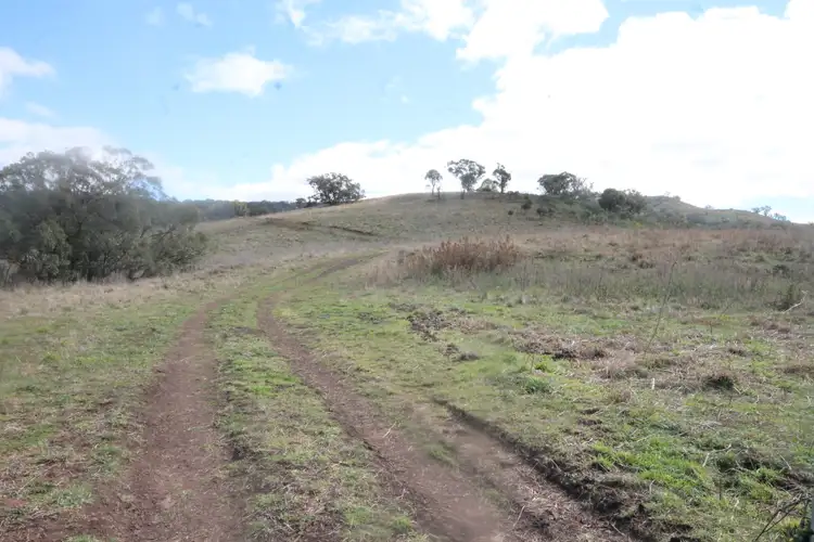 Fifth view of Homely rural property listing, Lot 115 2021 Pembroke Road, Cassilis NSW 2329