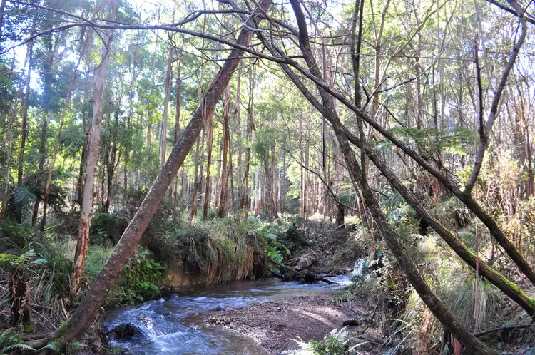 Second view of Homely land listing, LOT 1/Lot Mansfield-Woods Point Road, jamieson Vic 3722, Kevington VIC 3723