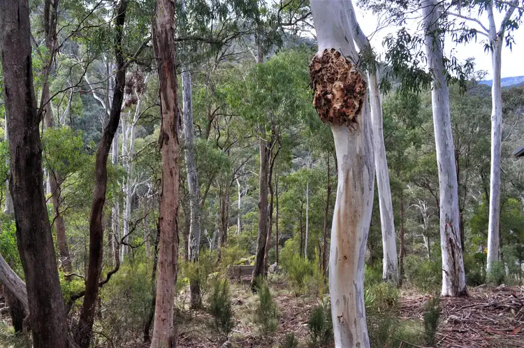 Fifth view of Homely land listing, LOT 38 Mill Court, Sawmill Settlement VIC 3723