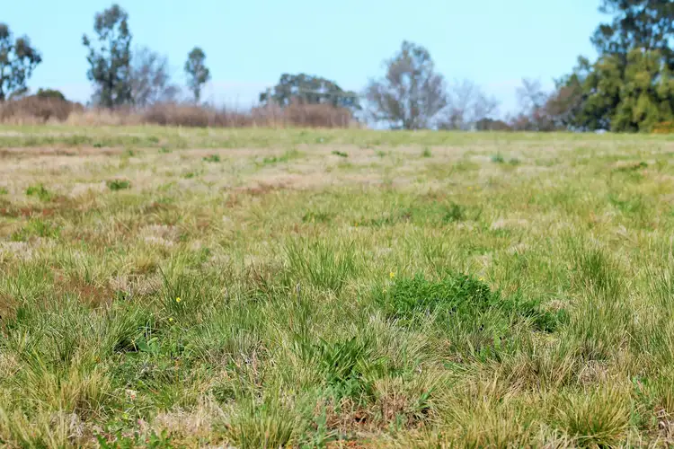 33 Collins Street, Merriwa NSW 2329