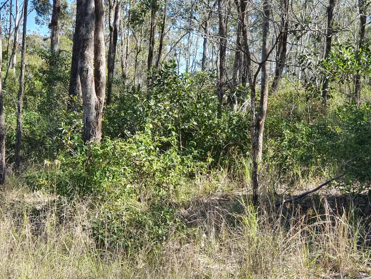 Fifth view of Homely rural property listing, LOT 131 FRANKS ROAD, Blackbutt QLD 4314