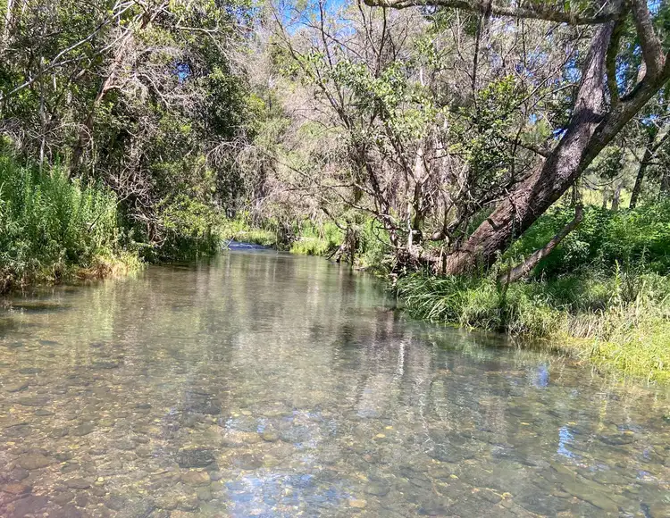 Third view of Homely rural property listing, 382 Norwood Lane, Mount George NSW 2424