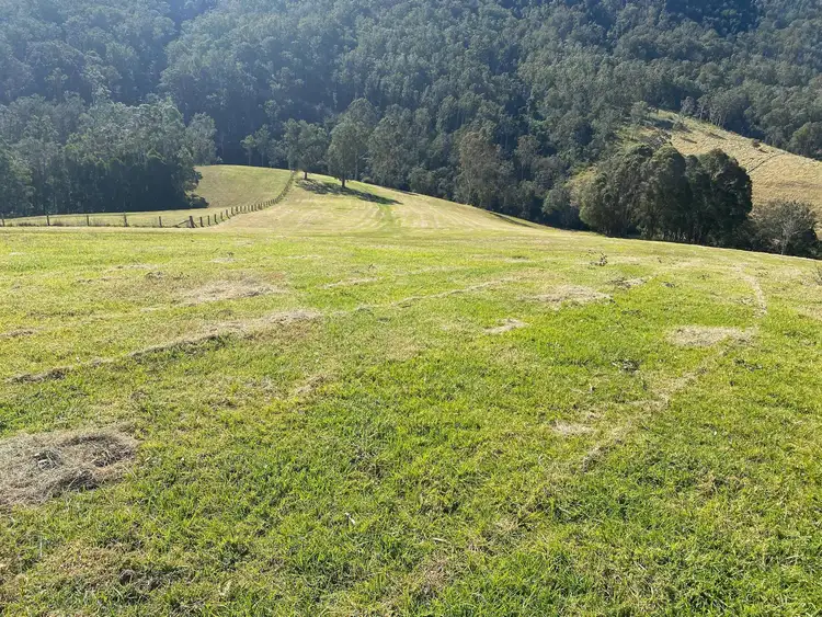 Fourth view of Homely rural property listing, 382 Norwood Lane, Mount George NSW 2424