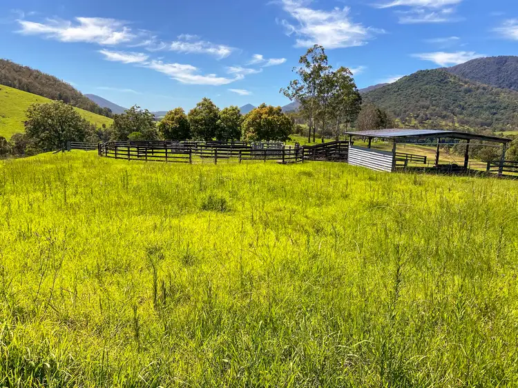 Fifth view of Homely rural property listing, 382 Norwood Lane, Mount George NSW 2424