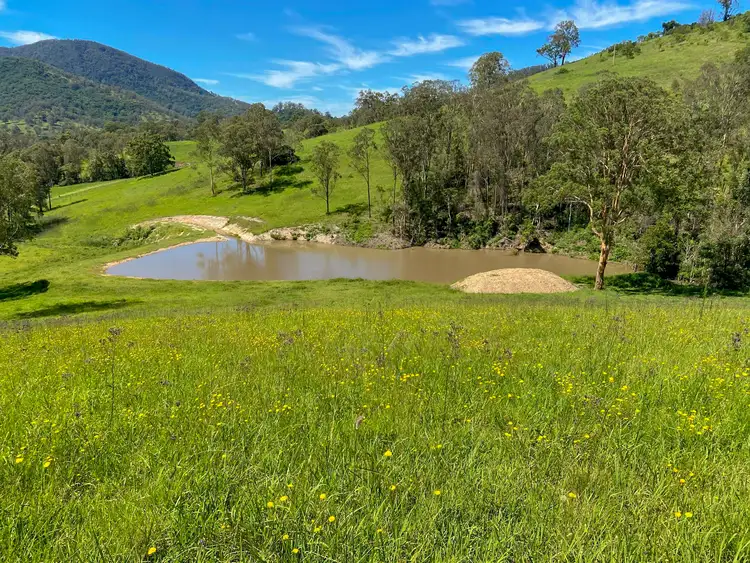 Sixth view of Homely rural property listing, 382 Norwood Lane, Mount George NSW 2424