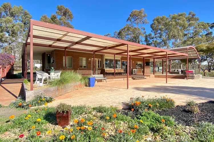 Main view of Homely rural property listing, 40 Hall Road, Alma VIC 3465