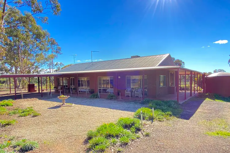Third view of Homely rural property listing, 40 Hall Road, Alma VIC 3465