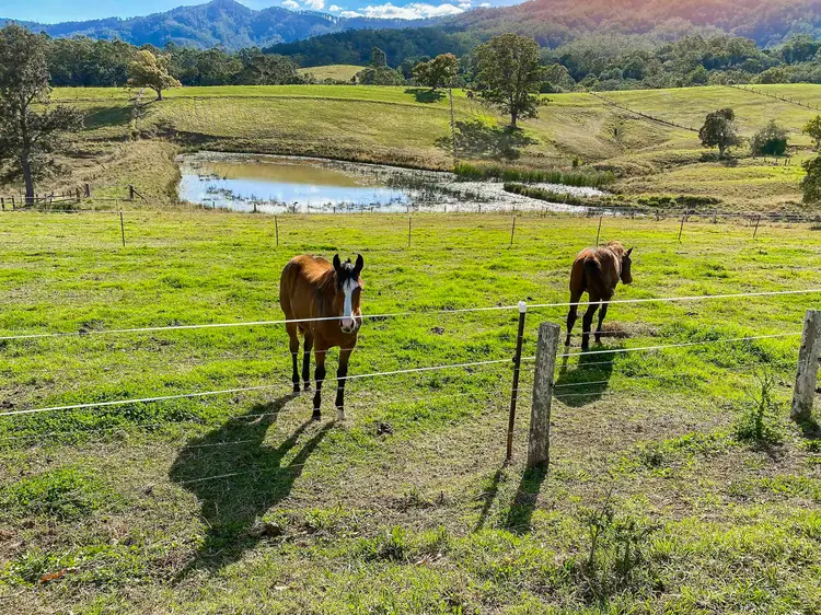 Second view of Homely rural property listing, 416 Hogans Road, Upper Lansdowne NSW 2430