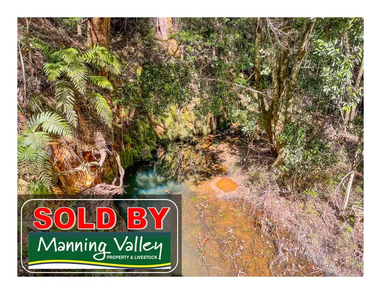 Main view of Homely rural property listing, 535 Waitui Road, Waitui NSW 2443