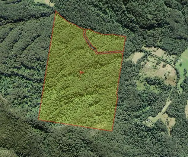 Second view of Homely rural property listing, 535 Waitui Road, Waitui NSW 2443