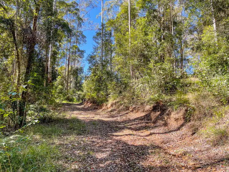 Fourth view of Homely rural property listing, 535 Waitui Road, Waitui NSW 2443