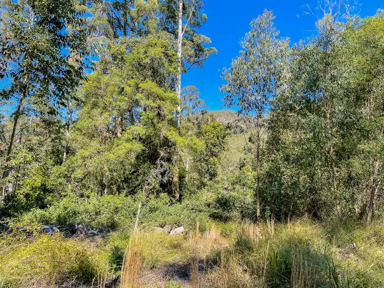 Sixth view of Homely rural property listing, 535 Waitui Road, Waitui NSW 2443