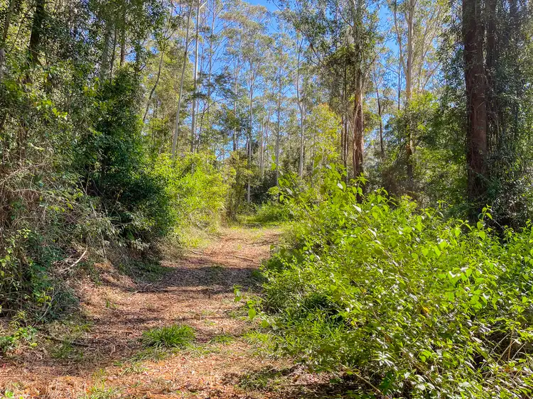Seventh view of Homely rural property listing, 535 Waitui Road, Waitui NSW 2443
