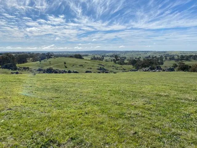 338 Keynes Hill Road, Keyneton SA 5353
