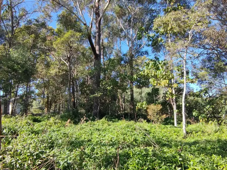 Second view of Homely land listing, 14 Aster Street, Russell Island QLD 4184