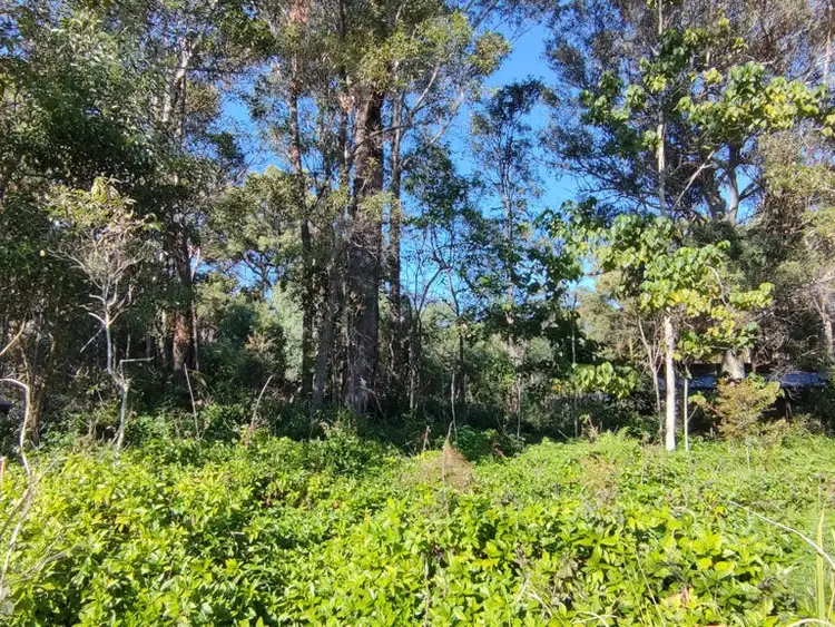 Third view of Homely land listing, 14 Aster Street, Russell Island QLD 4184