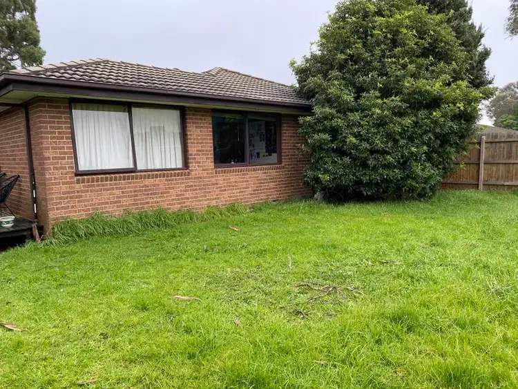 Second view of Homely house listing, 19 Axedale Crescent, Endeavour Hills VIC 3802
