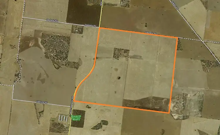 Main view of Homely rural property listing, 1940 Nhill-Netherby Road, Nhill VIC 3418
