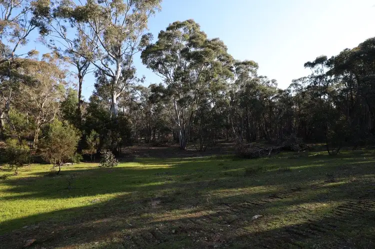 Main view of Homely rural property listing, LOT 262/2401 Lumley Rd, Lake Bathurst NSW 2580