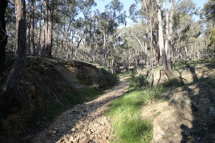 Second view of Homely rural property listing, LOT 262/2401 Lumley Rd, Lake Bathurst NSW 2580