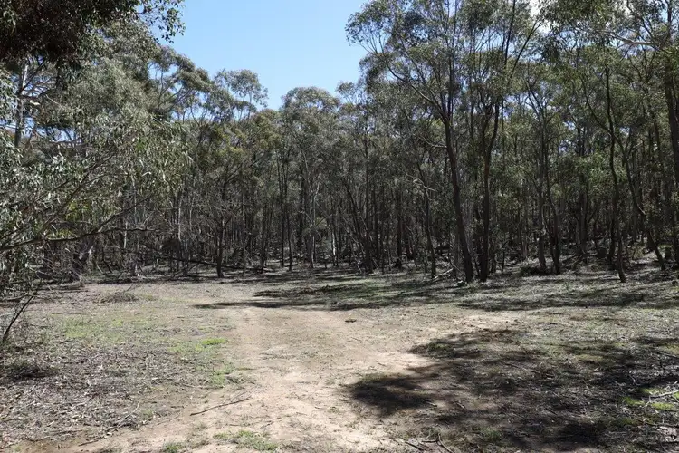Third view of Homely rural property listing, LOT 262/2401 Lumley Rd, Lake Bathurst NSW 2580