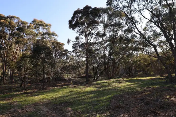 Fourth view of Homely rural property listing, LOT 262/2401 Lumley Rd, Lake Bathurst NSW 2580