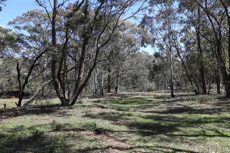 Fifth view of Homely rural property listing, LOT 262/2401 Lumley Rd, Lake Bathurst NSW 2580