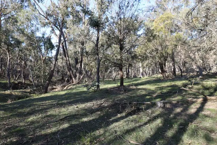 Seventh view of Homely rural property listing, LOT 262/2401 Lumley Rd, Lake Bathurst NSW 2580