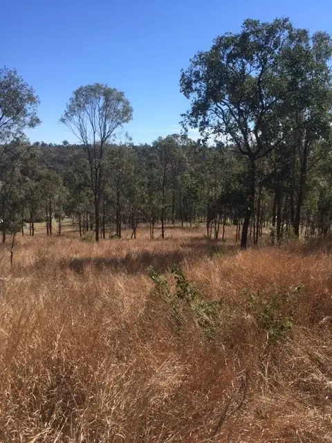 Main view of Homely rural property listing, LOT 83 Stretton Drv, Blackbutt QLD 4314