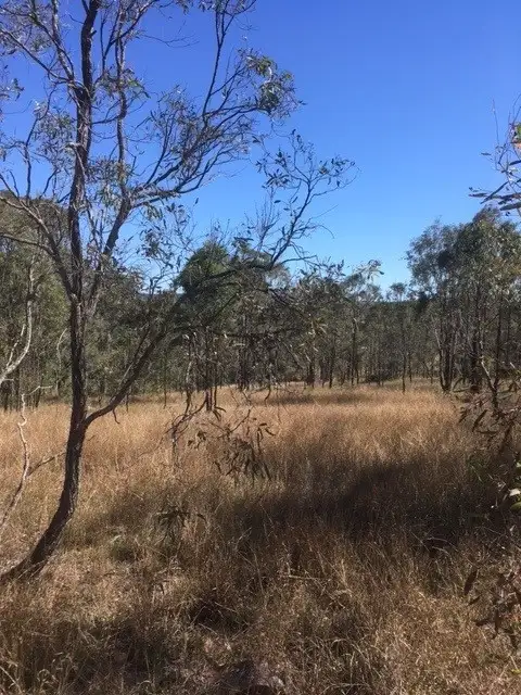 Seventh view of Homely rural property listing, LOT 83 Stretton Drv, Blackbutt QLD 4314