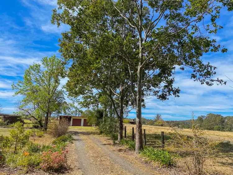 Third view of Homely rural property listing, 616 Comboyne Rd, Cedar Party NSW 2429