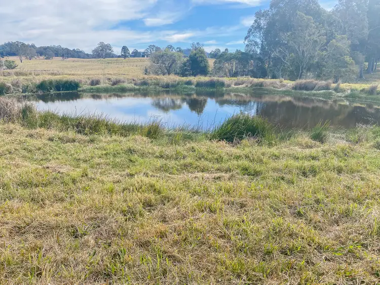 Fifth view of Homely rural property listing, 616 Comboyne Rd, Cedar Party NSW 2429