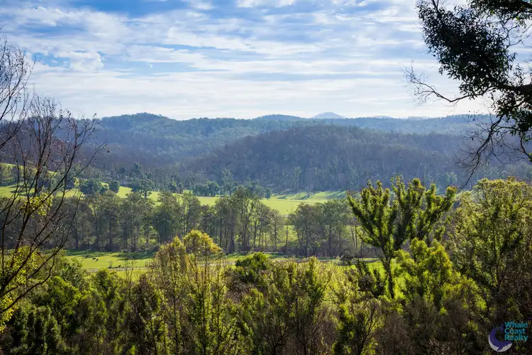 81 Waincourt Road, Eurobodalla NSW 2545